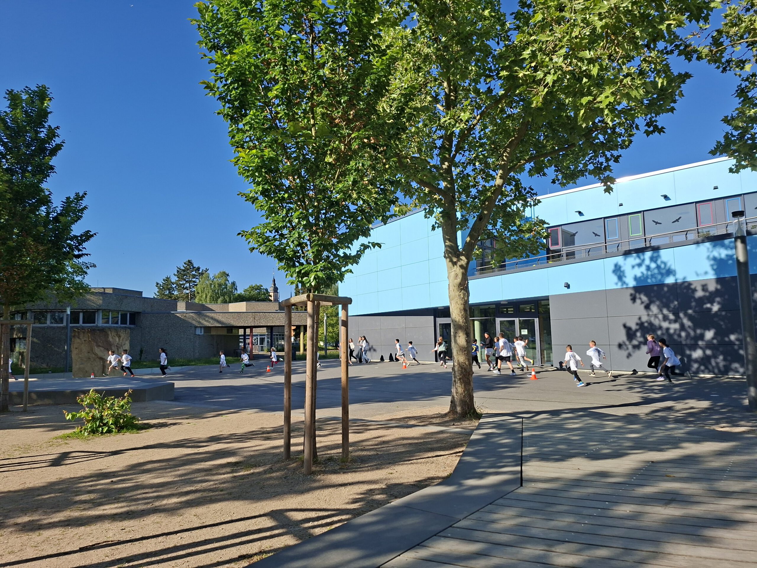 Spendenlauf2